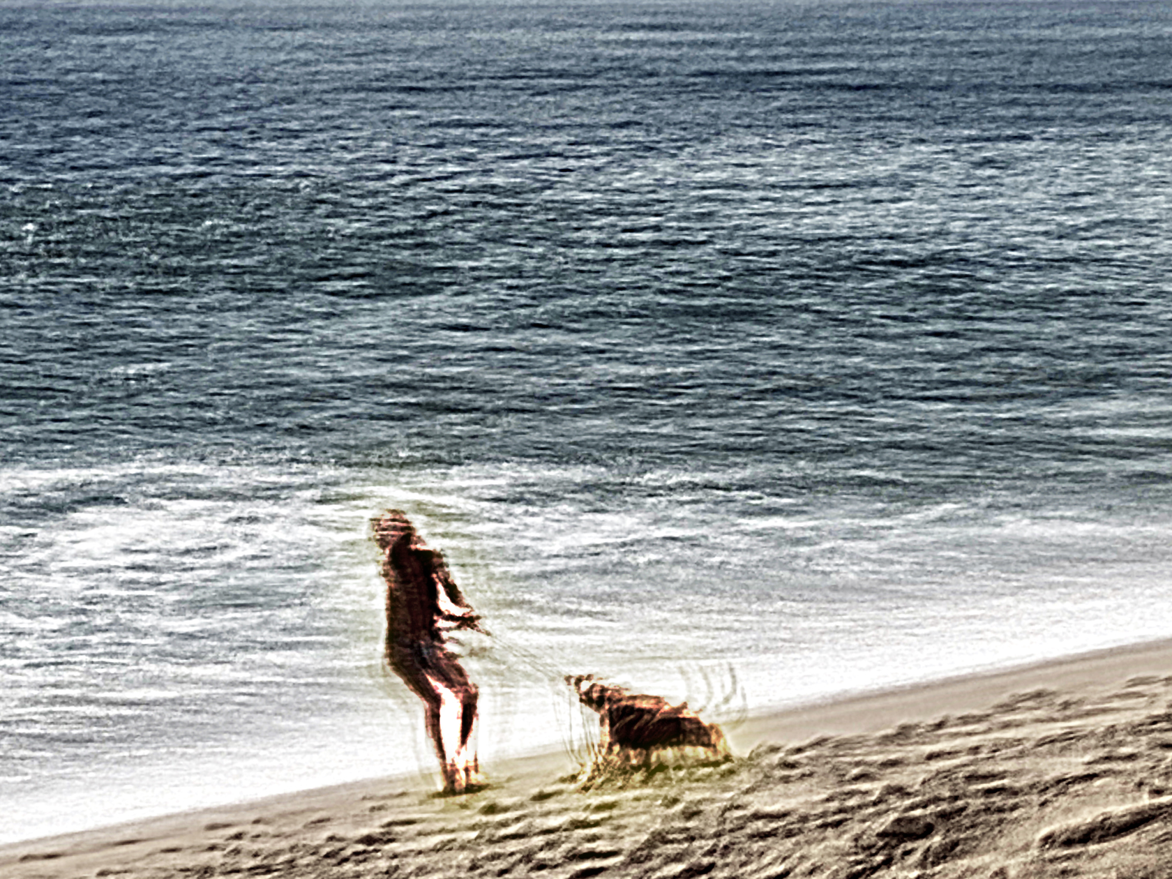day at the beach