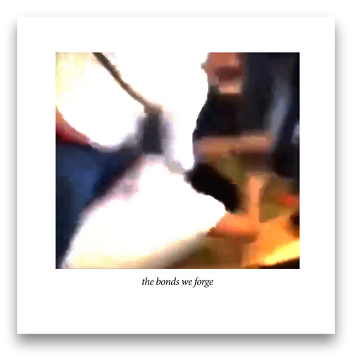 volume one the bonds we forge